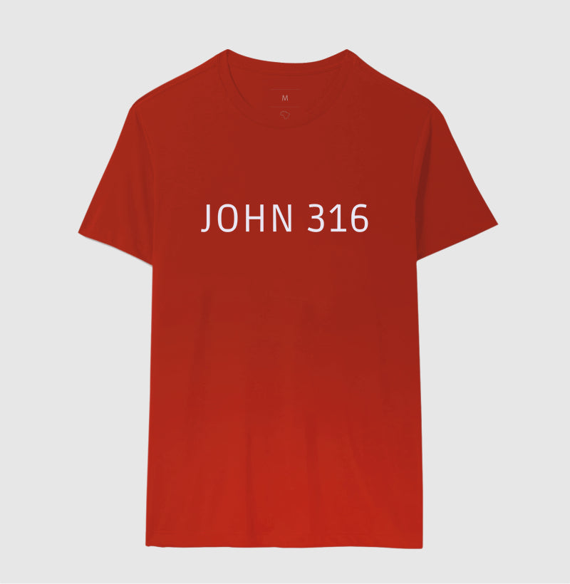 John 316
